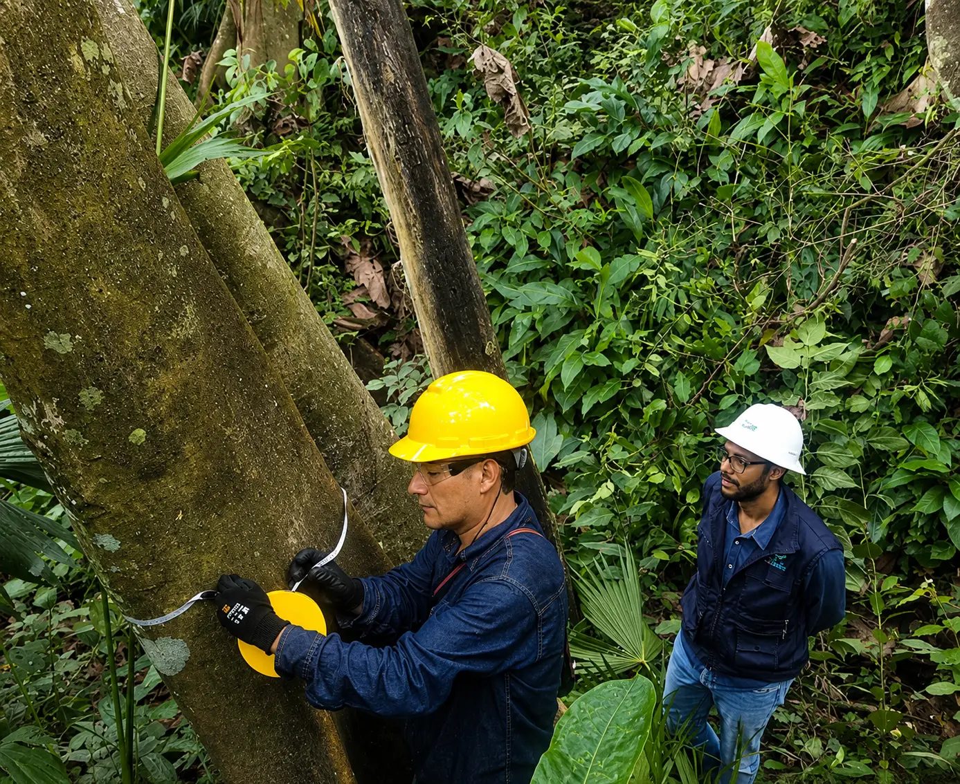 Entrega final de la PTAR